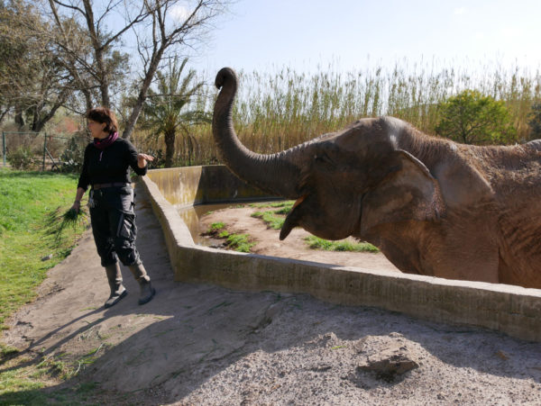 Parc Zoologique De Frejus Un Ecrin De Biodiversites