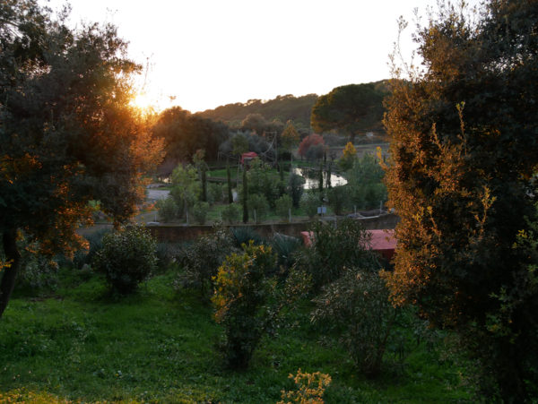 Photo du parc zoologique de Fréjus