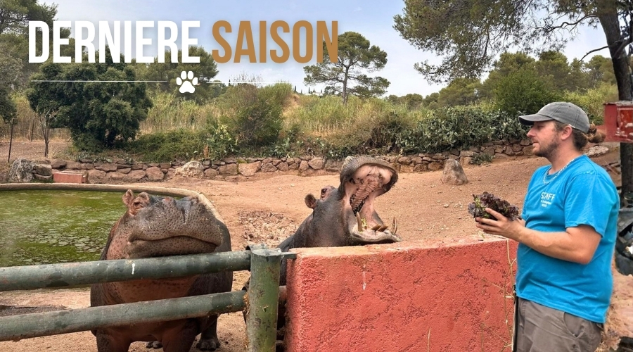 Animations pédagogique nourrissage du zoo de fréjus - fermeture du zoo