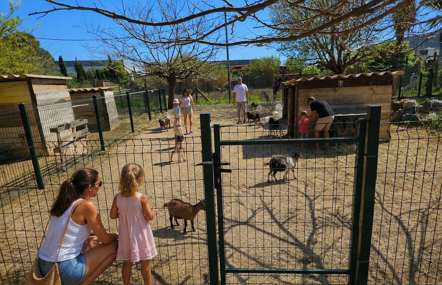 La mini ferme pédagogique du zoo de fréjus