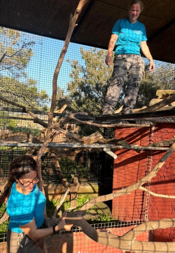 construction d'une volière au zoo côte d'azur