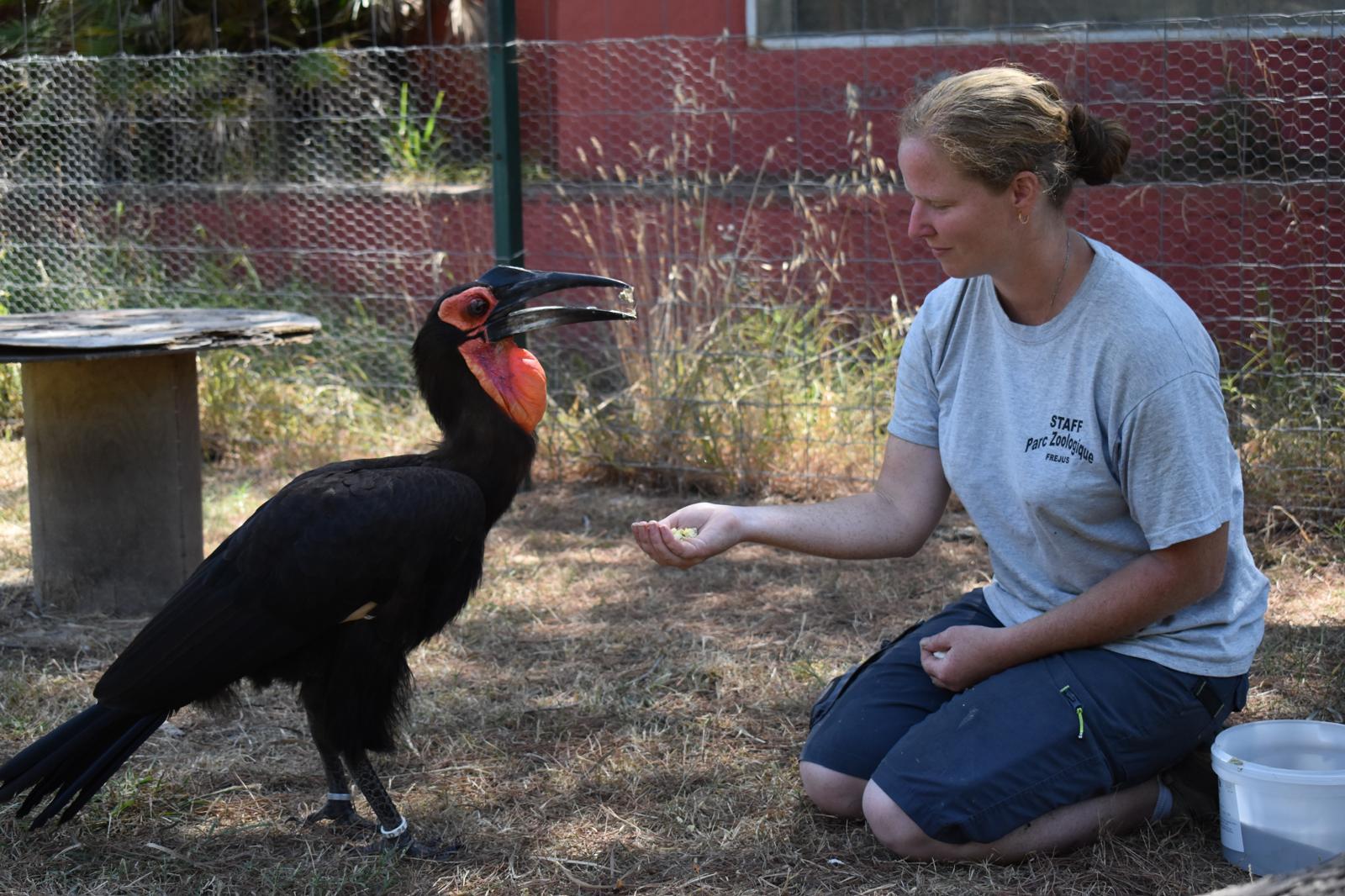 soigneuse avec un des oiseaux du parc