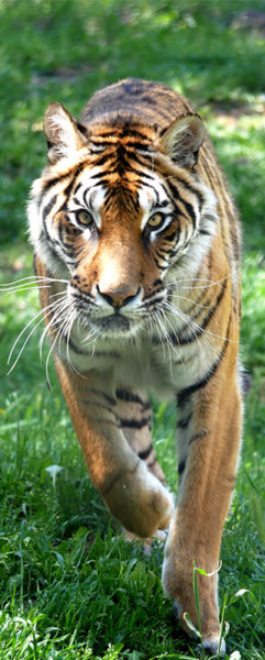 Parc zoologique de Fréjus - Un écrin de biodiversités